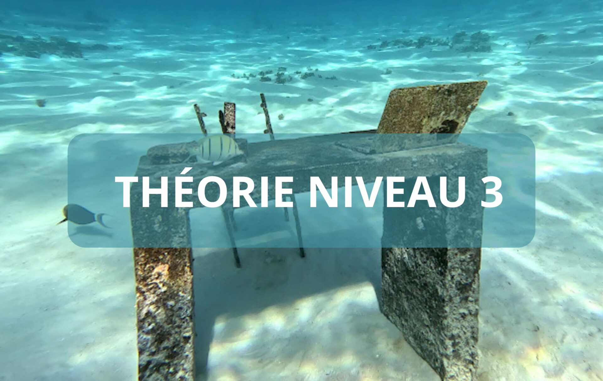Plongeur niveau 3